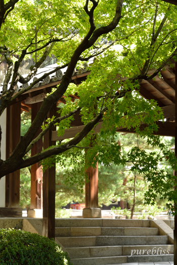 b0243873_20134861.png