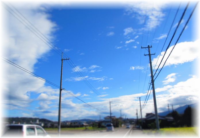 d0175974_2015575.jpg