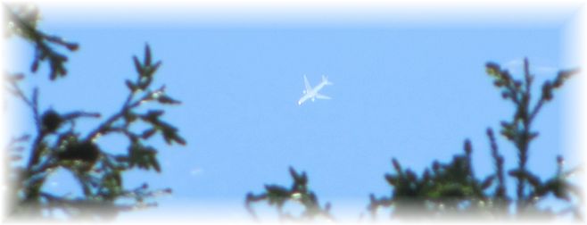 d0175974_2016617.jpg
