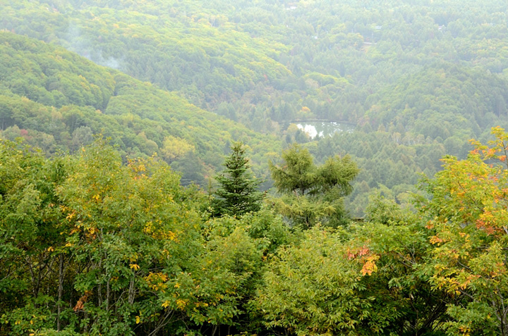 f0108478_21462667.jpg