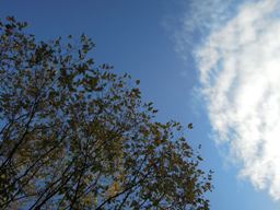 e0155085_20122047.jpg