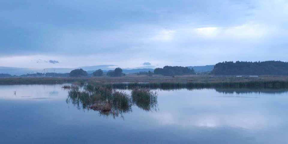 c0170789_10362141.jpg