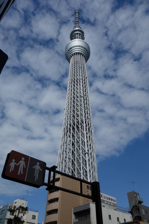 d0069495_1552396.jpg