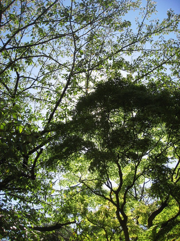 c0204298_2371748.jpg