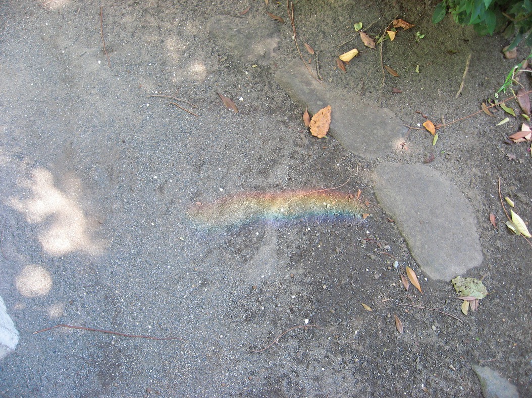 c0204298_2372565.jpg