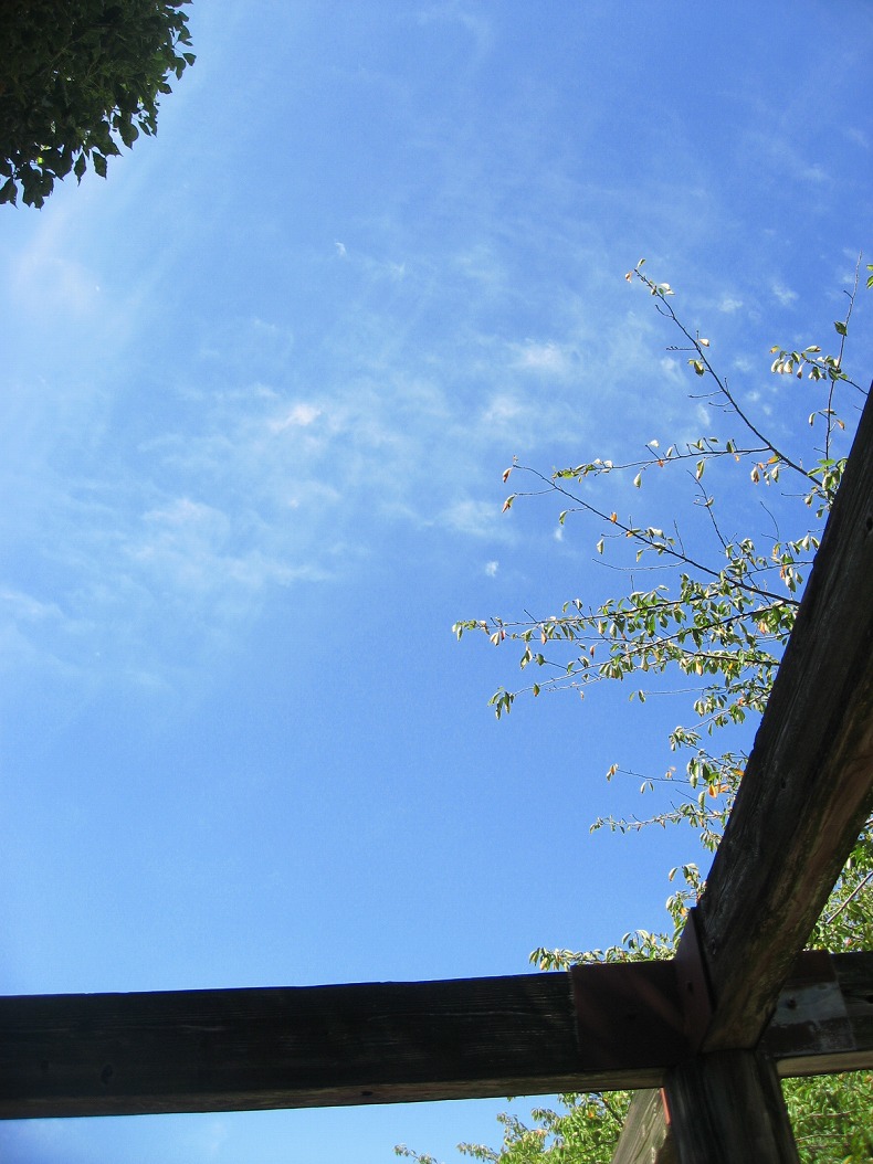 c0204298_238063.jpg