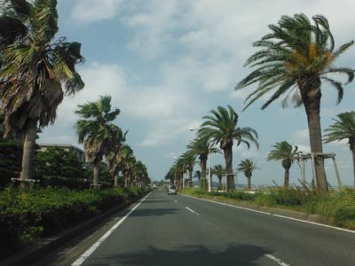 a0218499_175323.jpg
