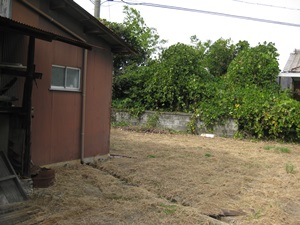 d0240201_12351987.jpg