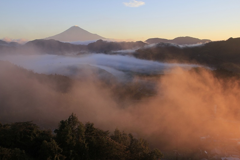 a0188405_8351486.jpg