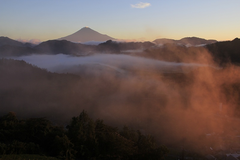 a0188405_838148.jpg