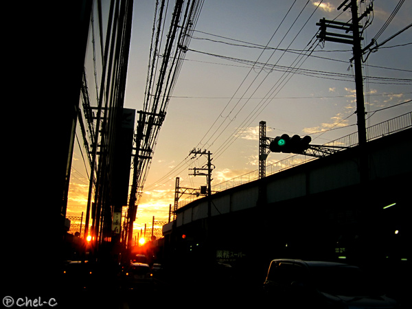 a0154706_1838224.jpg