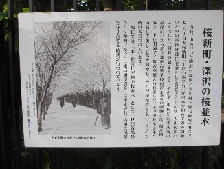 d0091909_1119272.jpg
