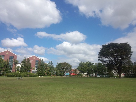 f0284409_17434327.jpg