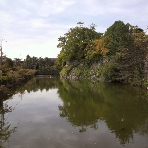 e0099212_751226.jpg