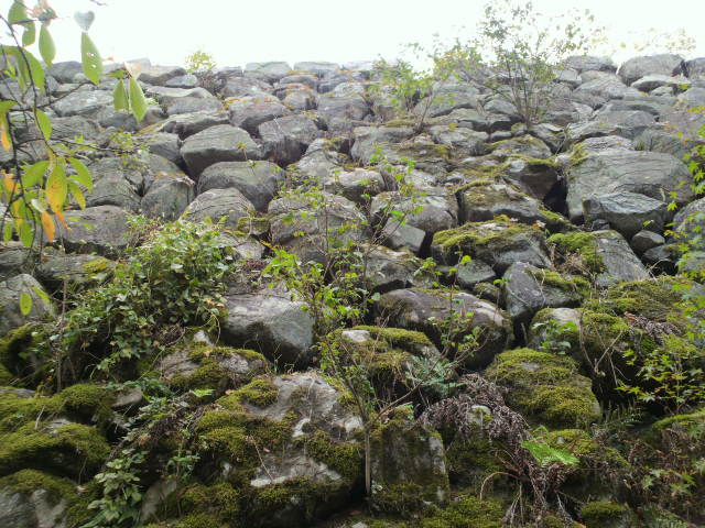 e0099212_757283.jpg