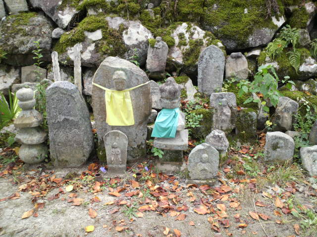 e0099212_854684.jpg