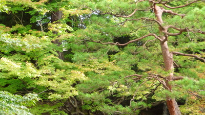 e0135219_12105392.jpg