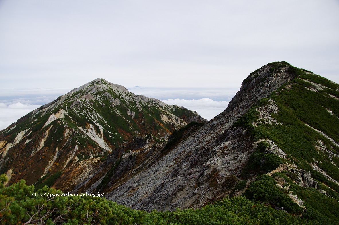 b0062024_20152096.jpg