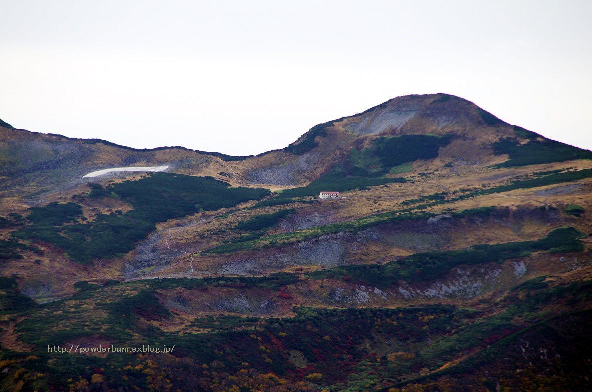 b0062024_20484159.jpg