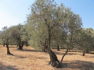 f0224632_15341380.jpg