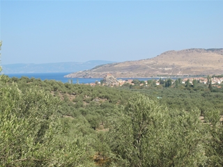 f0224632_15374795.jpg