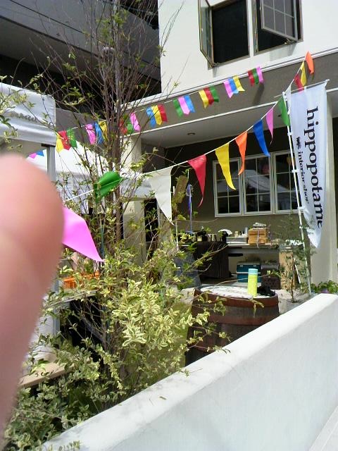 b0062335_124079.jpg