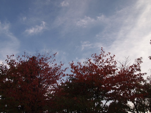c0117239_9464210.jpg