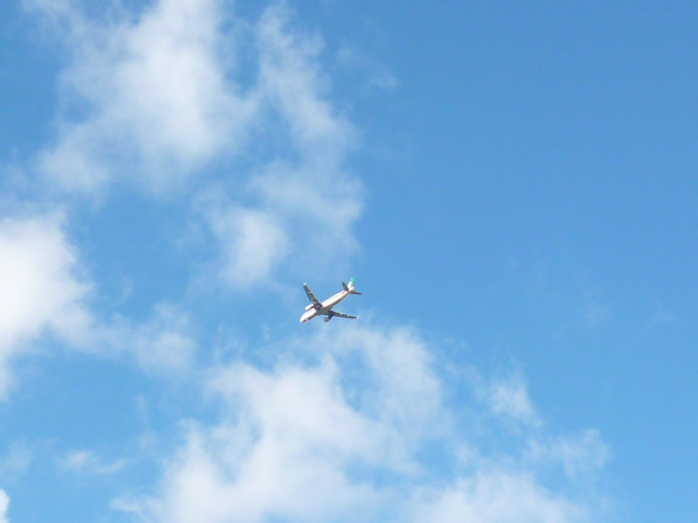 d0170140_0305698.jpg
