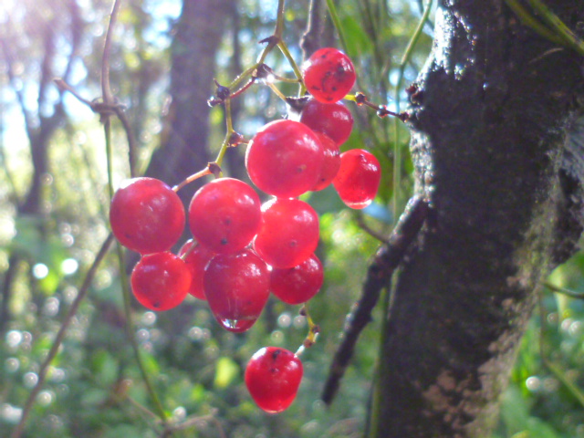 d0170140_0372559.jpg