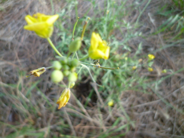 d0170140_1111070.jpg