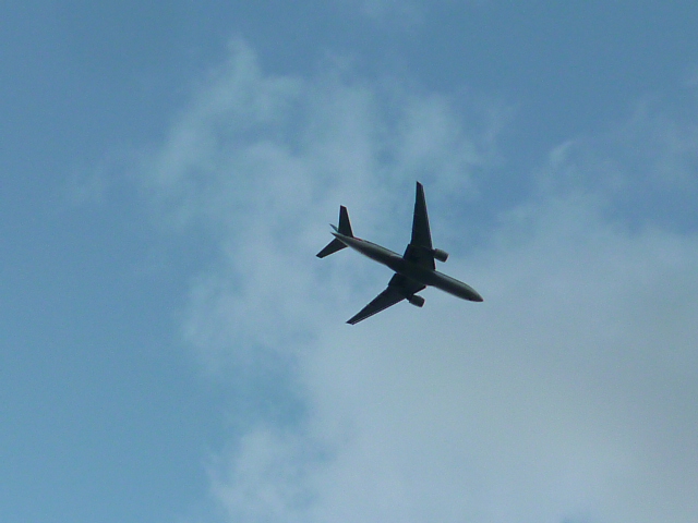 d0170140_121778.jpg