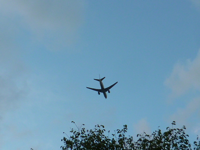 d0170140_1311740.jpg