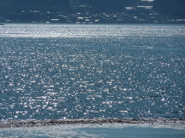 d0288144_23355331.jpg