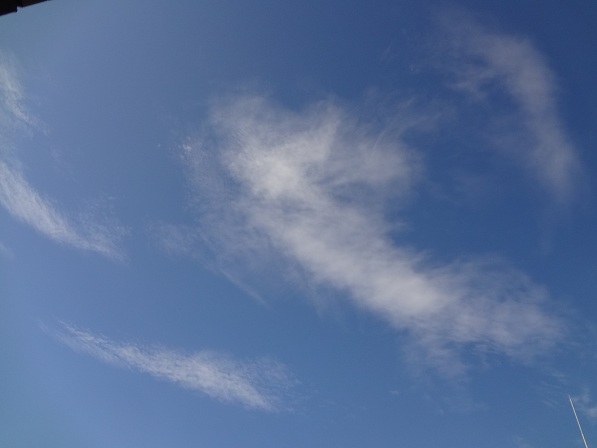 c0185445_232015100.jpg