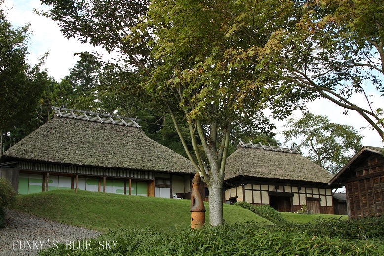 c0145250_17264839.jpg