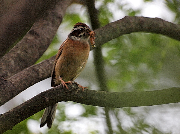 f0215964_8573982.jpg