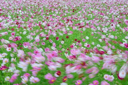c0303868_19112013.jpg