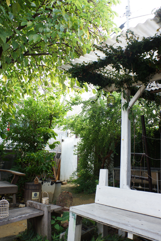 b0139477_136468.jpg