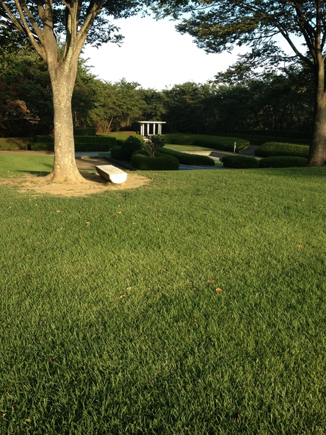 c0283778_17375232.jpg
