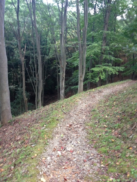 c0283778_17461644.jpg