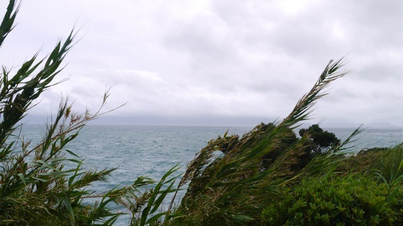 a0278382_949404.jpg