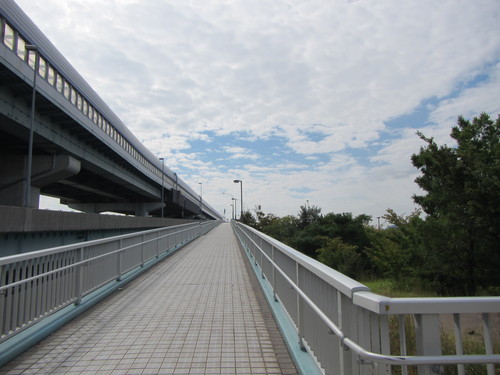 a0251786_204365.jpg
