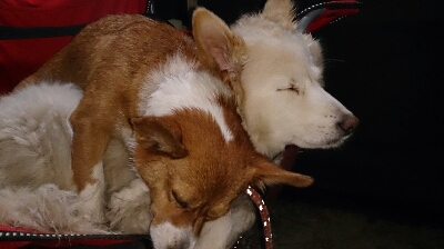 c0009287_14365919.jpg