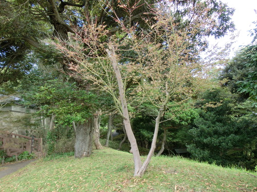 e0123587_9161695.jpg