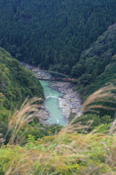 e0051888_1750948.jpg