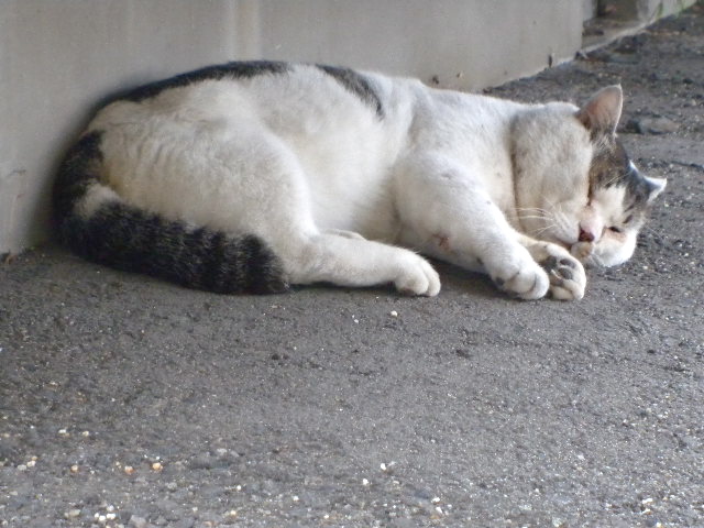 a0199297_15494097.jpg