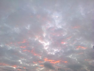 e0206902_185140100.jpg
