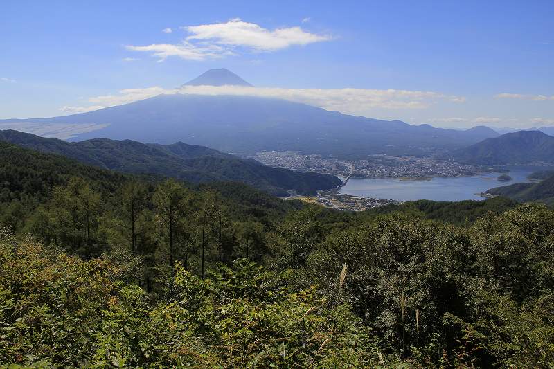 a0188405_73275.jpg