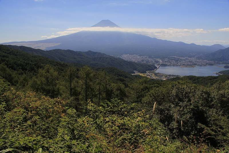 a0188405_733744.jpg