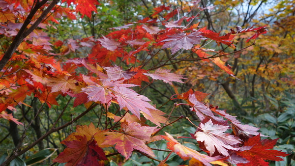 f0033314_1692457.jpg